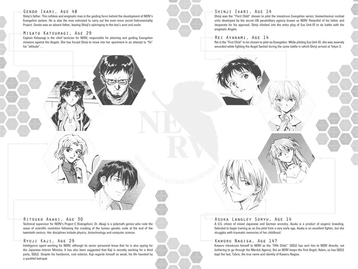 Neon Genesis Evangelion Chapter 63.5 image 4_optimized